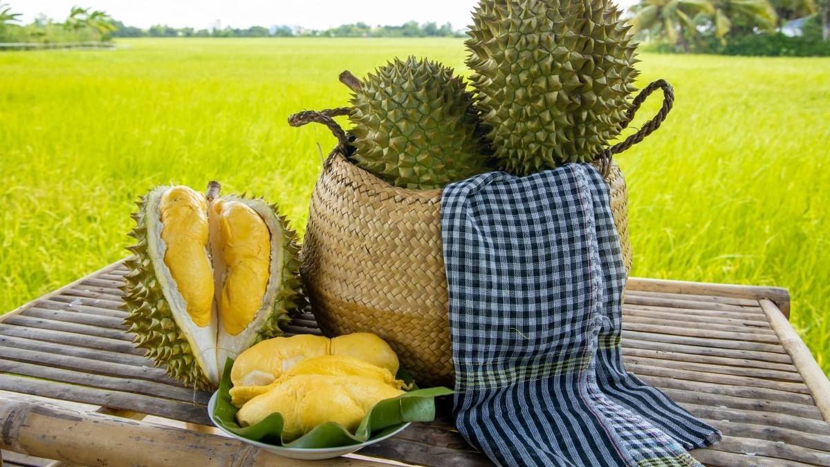 Sầu riêng Việt Nam phải tăng giá trị thay vì tăng diện tích